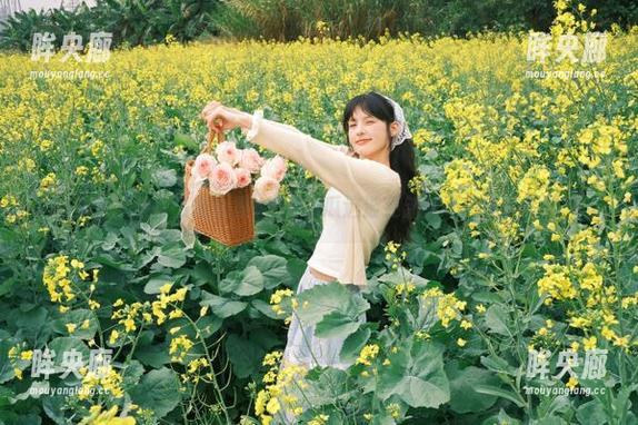 链接热梗合集，51吃瓜这波更新算不算人类的救星？