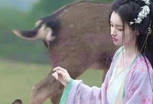 快收藏：www.17来的不是瓜，是一整车料啊，我的眼睛都瞪圆了。