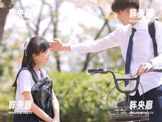 探秘zztt官网：这一波瓜到底热度有几了？