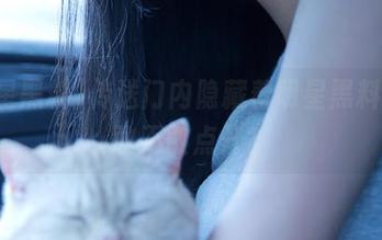 传送门内隐藏着明星黑料，你敢不敢点开？
