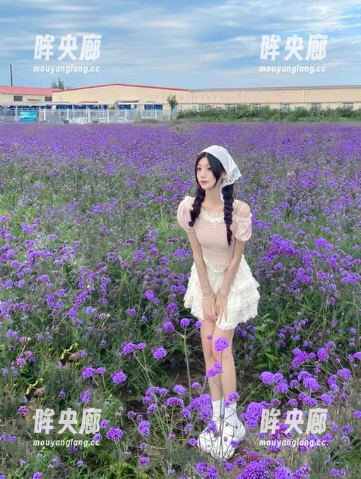探索黑料91，给你的导航线路加点调皮的柠檬味