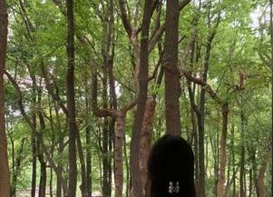 吃瓜势不可挡，黑料不打烊里的资源都是什么鬼？