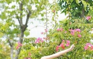资源多得不得了，黑料网app，让我忍不住想翻往昔的八卦尘封！