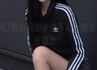 黑料网的永久下载，既然来了就别想走！